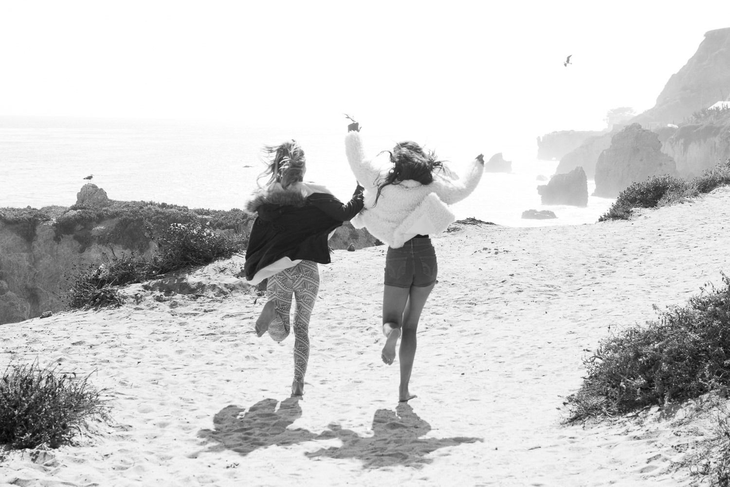 140807_hollisterbw_09_4574
