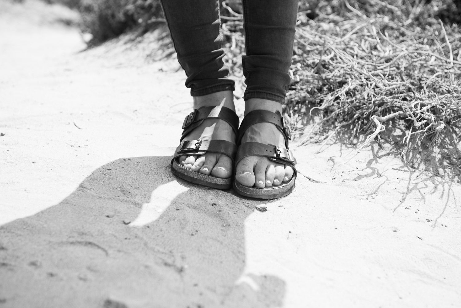 140807_hollisterbw_01_0233